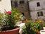 Immagine 22