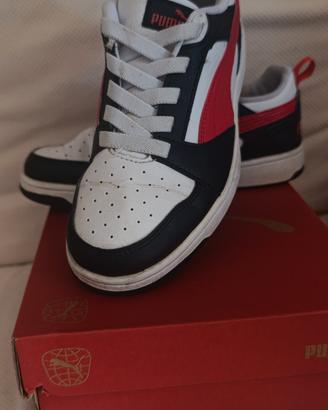 puma e skechers n 34