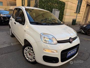 Fiat Panda 1.2 Easy Benzina 69CV euro6d pronta con