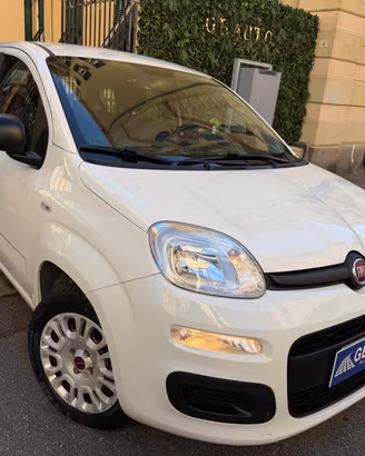 Fiat Panda 1.2 Easy Benzina 69CV euro6d pronta con
