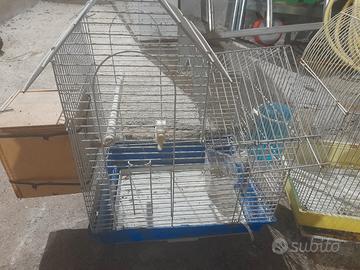gabbie per uccelli 