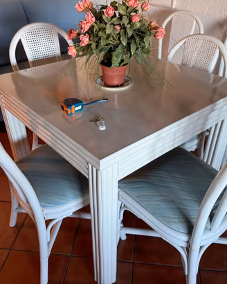 Tavolo allungabile 90×90 + 8 sedie coordinate