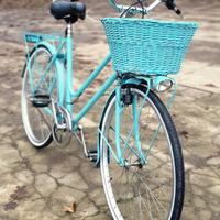 Bici donna vintage restaurata