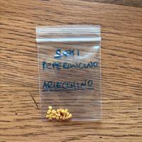 Peperoncino Arlecchino