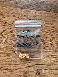Peperoncino Arlecchino