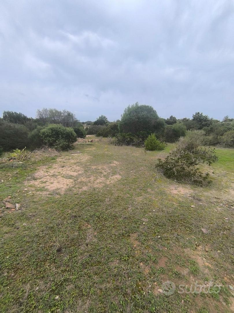 Terreno con rudere(non recuperabile)Loc.Spalmatore - Vista 2