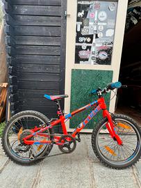 Mtb bambino