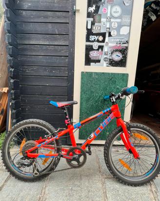 Mtb bambino