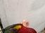 Immagine 4