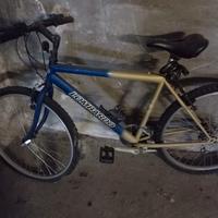 bicicletta mountain bike