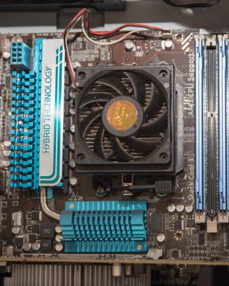 AMD Phenom + scheda madre