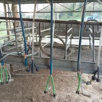 Mungitrice 6 posti sequenziale