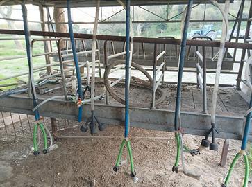 Mungitrice 6 posti sequenziale