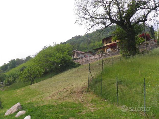 Terreno Edificabile Residenziale - Bagolino