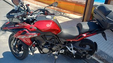 benelli 502