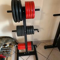 rastrelliera porta dischi e pesi per palestra 