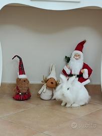 Coniglio TESTA DI LEONE