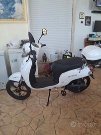 Bici Elettrica Z-Tech