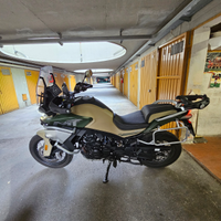Mt 800 cf moto 2023