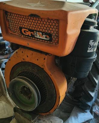 grillo Diesel 