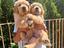 Immagine 4
