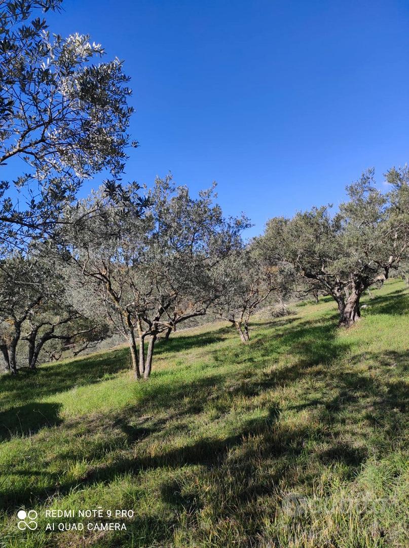 Terreno Agricolo Colleberardi - Vista 6