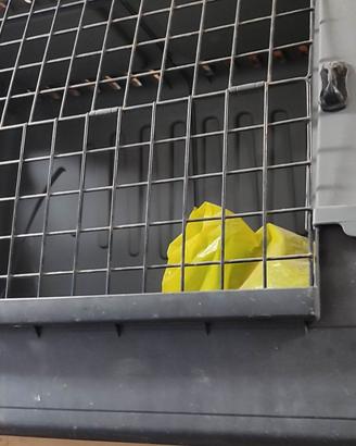 trasportino per cane 