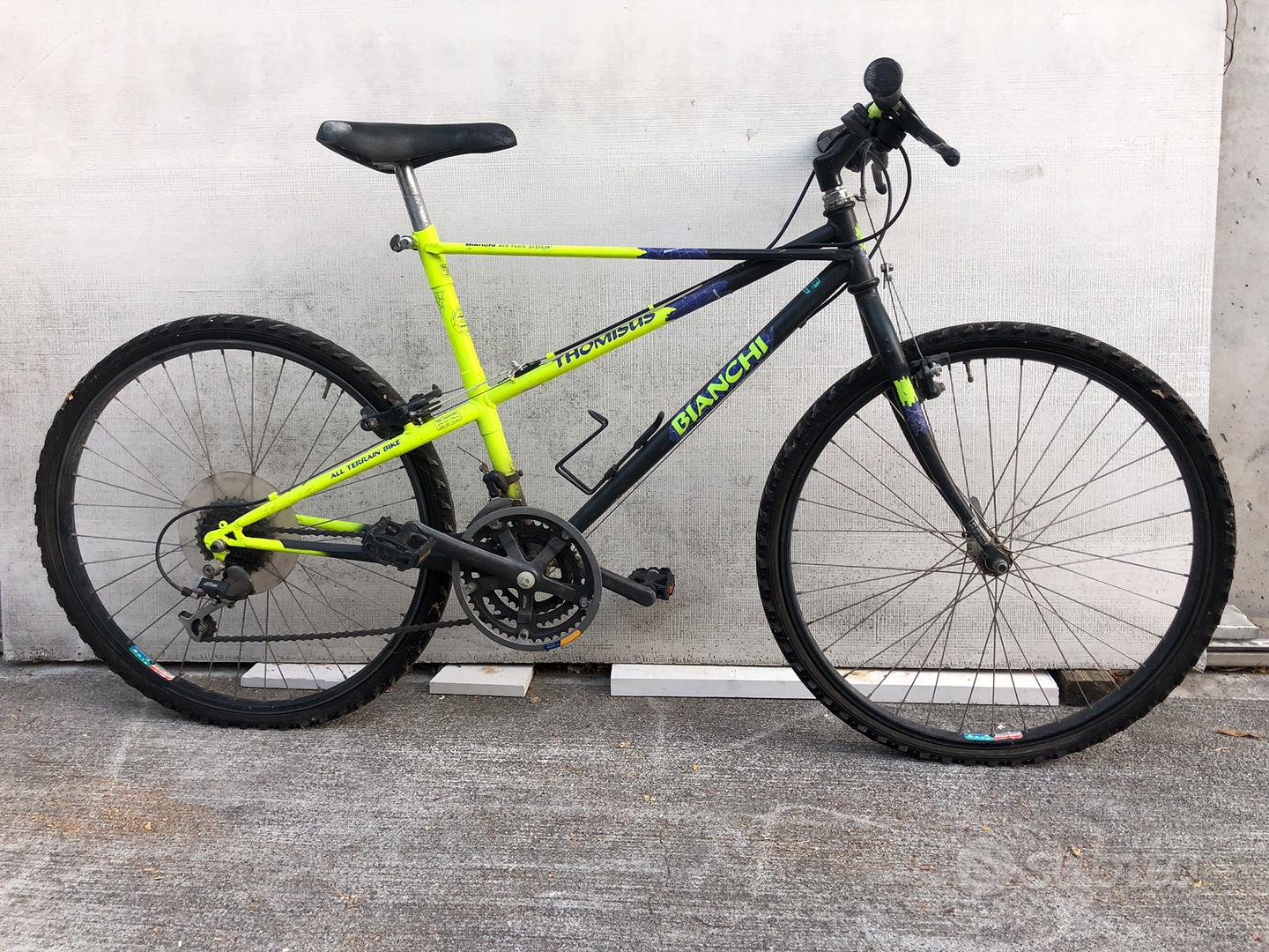 Ragno Thomisus Bicicletta Bianchi Ragno Bianchi Ragno Mtb Mtb