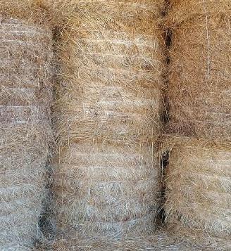 Vendita fieno
