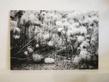 Fotografia Fine Art "REM" Giclée 60x90 – 1/3 Rizzo