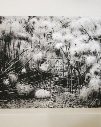 Fotografia Fine Art "REM" Giclée 60x90 – 1/3 Rizzo