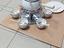 Immagine 2