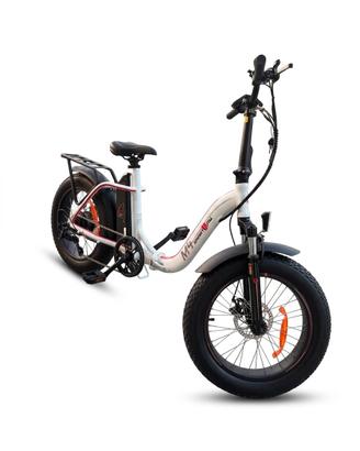 E-BIKE SMARTWAY M4