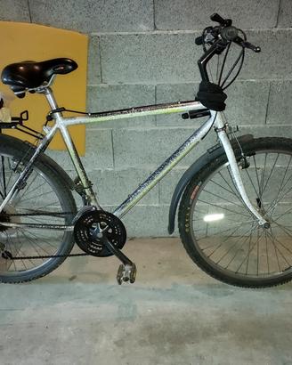 Mountain bike 