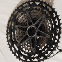 pacco pignoni XTR  12 v 