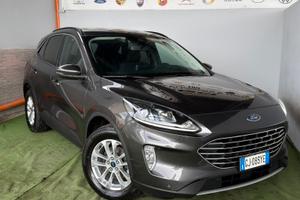 Ford Kuga 1.5 EcoBlue 120 CV 2WD Titanium Business