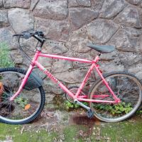 biciclette da battaglia 