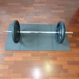 DISCHI E BILANCERE DOMYOS 