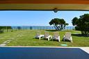 albarella-villa-al-piano-terra-con-vista-acqua