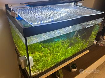 Acquario Tropicale COMPLETO