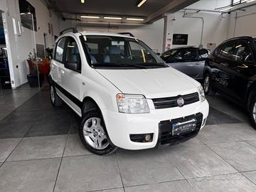 Fiat Panda 1.2 Climbing Natural Power