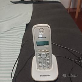 Cordless Panasonic con batterie ricaricabili 