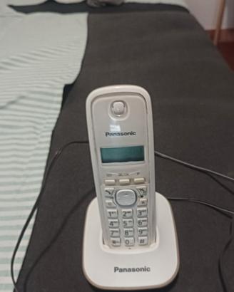 Cordless Panasonic con batterie ricaricabili 