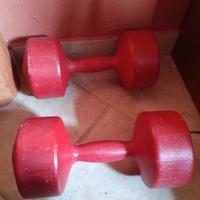 pesi da 5kg