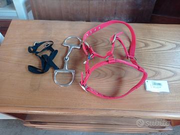 Set capezza  da puledro e pony