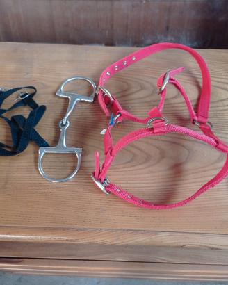 Set capezza  da puledro e pony