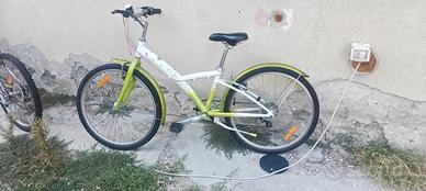 bici da donna 