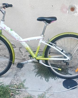 bici da donna 