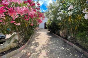 Casa vacanza s'ena 'e sa chitta capo comino