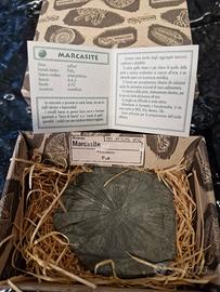 Marcasite minerale da collezione 